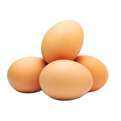 Wholesale Supply 100% Organic White and Brown Fertile Chicken Eggs Fresh Direct From Farm Table for Food Use at Best Price
