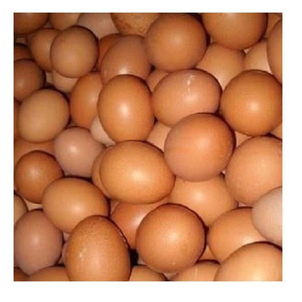 Best Quality Organic Fresh Chicken Brown Table Eggs & Fertilized Eggs Available in Bulk Stock