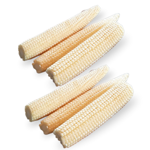 Organic Fresh Baby Corn Vegetables Direct From Indonesia for Organic Food Use