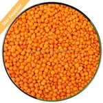 Masoor Dal Wholesale Supplier of Bulk Fresh Stock of Organic Indian Red Lentils / Split Red Lentils