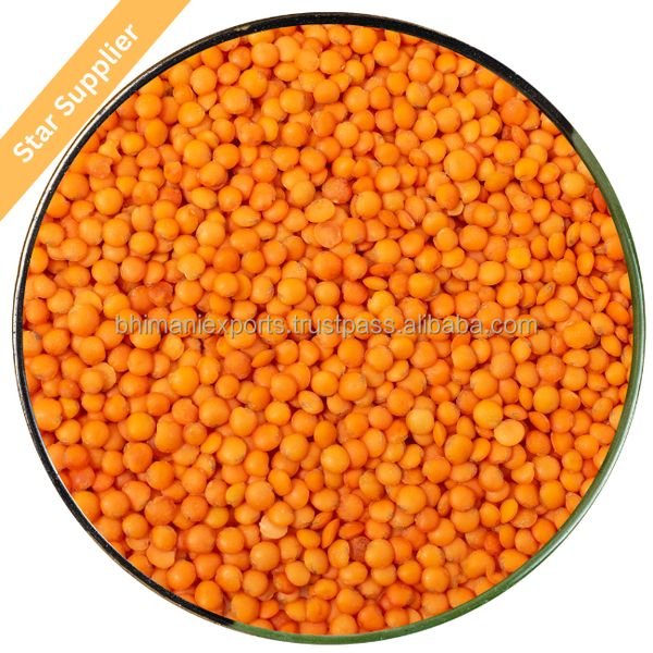 Masoor Dal Wholesale Supplier of Bulk Fresh Stock of Organic Indian Red Lentils / Split Red Lentils