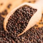Organic Black Mustard Seeds Bulk Pack for Gourmet Cooking Spice Blends and Traditional Remedies at Best Price