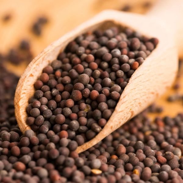 Organic Black Mustard Seeds Bulk Pack for Gourmet Cooking Spice Blends and Traditional Remedies at Best Price