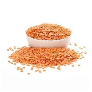 Organic Garden Split Red Lentil (Masoor Dal)