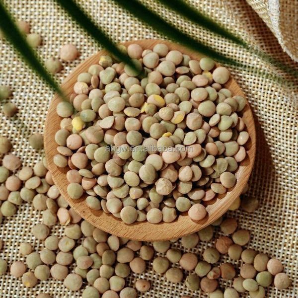 The Factory Sells Pure Natural Green Lentils Directly