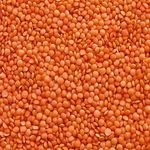 Organic Red Lentils Fresh and Dried Chana Dal Bulk-Packed Food Use Cultivated Sustainably