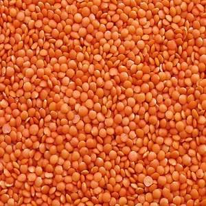 Organic Red Lentils Fresh and Dried Chana Dal Bulk-Packed Food Use Cultivated Sustainably