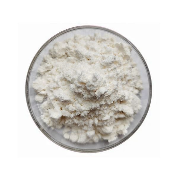 Hot Sale Best Price Organic Coconut Milk Powder