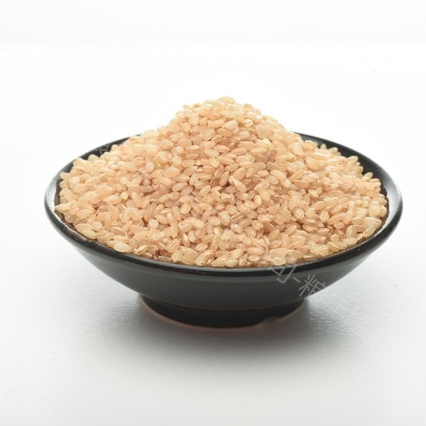 Wholesale Seasonal Organic Brown Rice, No Spoiled or Undersized Brown Rice, Preferably High Quality Brown Rice