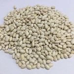 420-450 Grains/100g Beans White Kidney