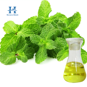 Organic Peppermint Oil Body Oil 100% Pure Natural Essential Oil For Massage Hair