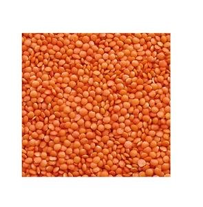Australia Red Whole Lentils Yellow Green Light Style Organic Color Weight Shelf Origin Type Life Size Bright Colour Product Dry