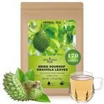 100% Pure Soursop Graviola Leaves Tea Bag To Support Digestion & Rich In Nutrients