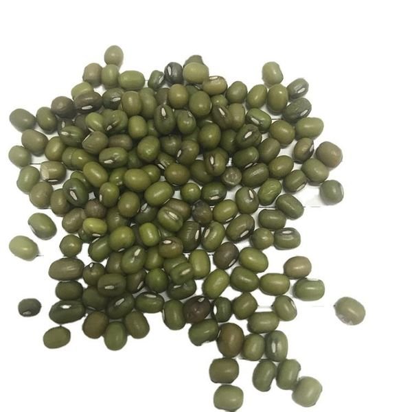 Myanmar Green Mung Bean Organic Mung Beans Seeds Mung Bean