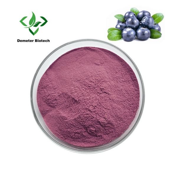 Natural Organic Freeze Dried Wild Blueberry Fruit Juice Powder