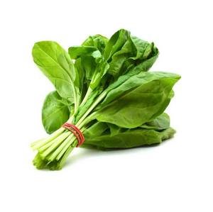 Organically cultivated non-GMO Fresh and crispy baby Spinach leafy greens in Cheap price