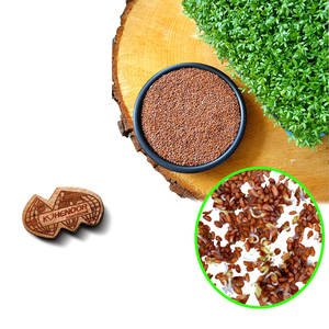 Cress | Leafy Green Herb | Premium Farming Export