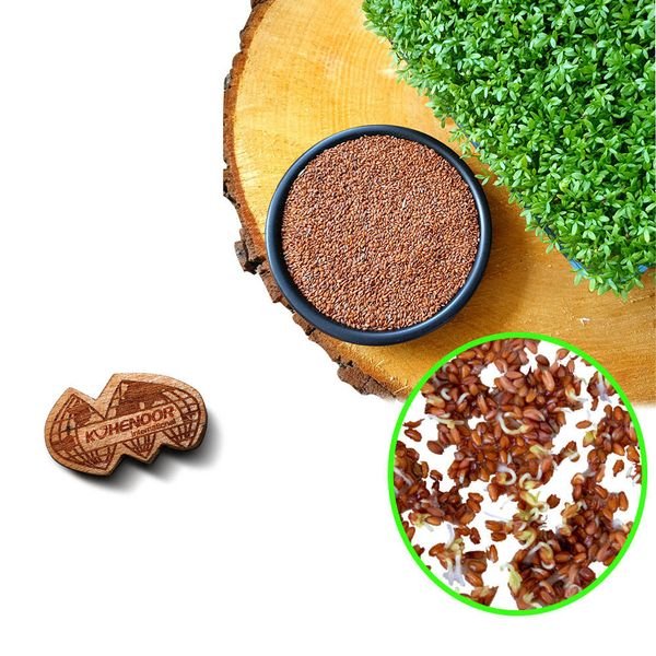 Cress | Leafy Green Herb | Premium Farming Export